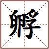 孵的图片