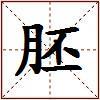 胚的图片