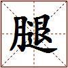 腿的图片