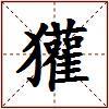 獾的图片