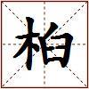 桕的图片