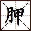 胛的图片