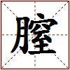膣的图片