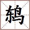 鸫的图片