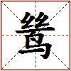 鸶的图片