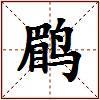 鹛的图片