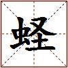 蛏的图片
