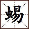 蜴的图片