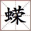 蝾的图片