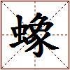 蟓的图片