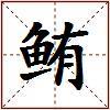 鲔的图片