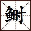 鲥的图片