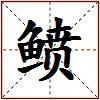 鲼的图片