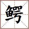 鳄的图片