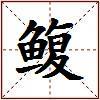 鳆的图片