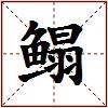 鳎的图片