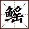 鳐的图片