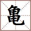 亀的图片