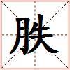 胅的图片
