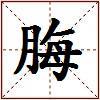 脢的图片