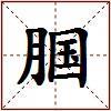 腘的图片