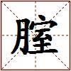 腟的图片