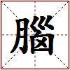 腦的图片