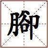 腳的图片