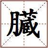 臓的图片