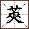 莢的图片