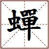 蟬的图片