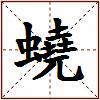蟯的图片