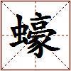 蠔的图片