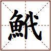 鮘的图片