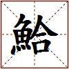 鮯的图片