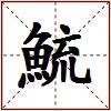 鯍的图片