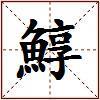 鯙的图片