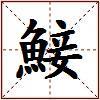 鯜的图片