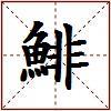 鯡的图片