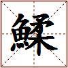 鰇的图片