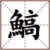 鰝的图片
