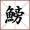 鰟的图片