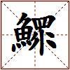 鰥的图片