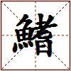 鰭的图片