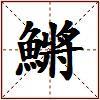 鱂的图片