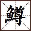 鱒的图片