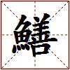 鱔的图片