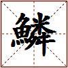 鱗的图片