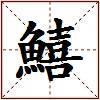 鱚的图片