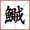 鱡的图片